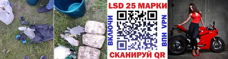 продажа наркотиков  Шадринск  Лсд 25 экстази кислота 
