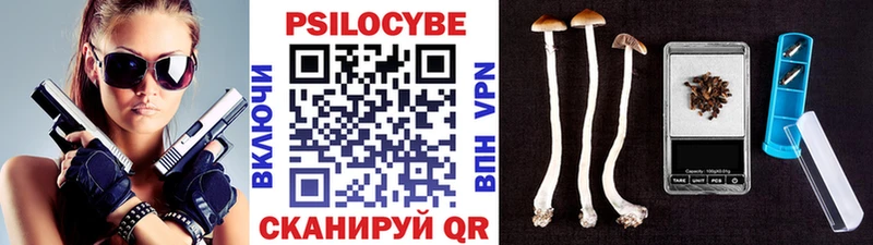Галлюциногенные грибы GOLDEN TEACHER  MEGA зеркало  Шадринск 