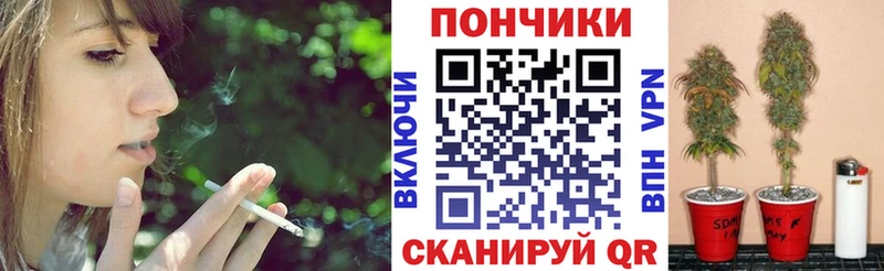 купить наркотики сайты  Шадринск  Бошки Шишки Ganja 